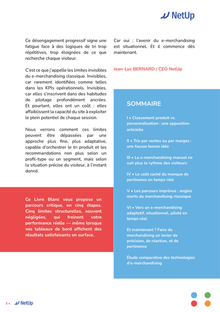 Netwave_-_Ebook_5_Limites_invisibles_V02 (1)-03